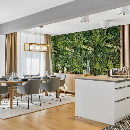 Old Town Penthouse Maisonette Private Rooftop 公寓 苏黎世
